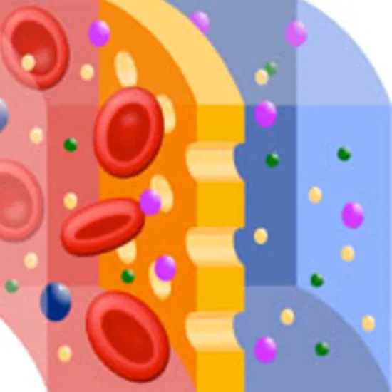 peritoneal dialysis test